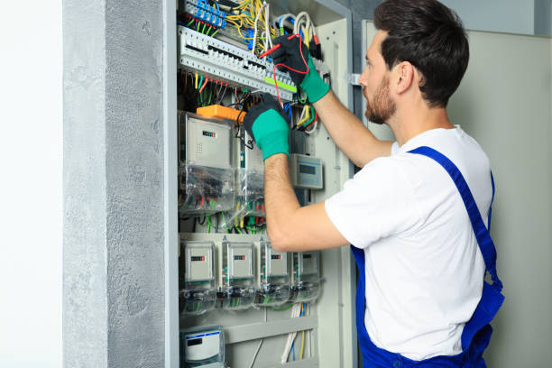 Best Ceiling Fan Installation Electrician  in Wliamsvle, IL