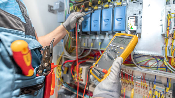 Best Electric Panel Repair  in Wliamsvle, IL