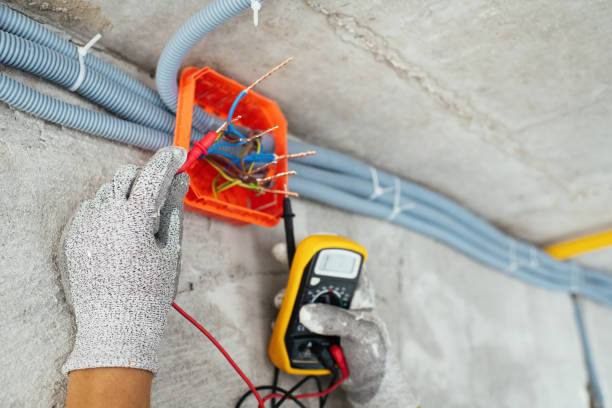 Best Electrical Repair Services  in Wliamsvle, IL
