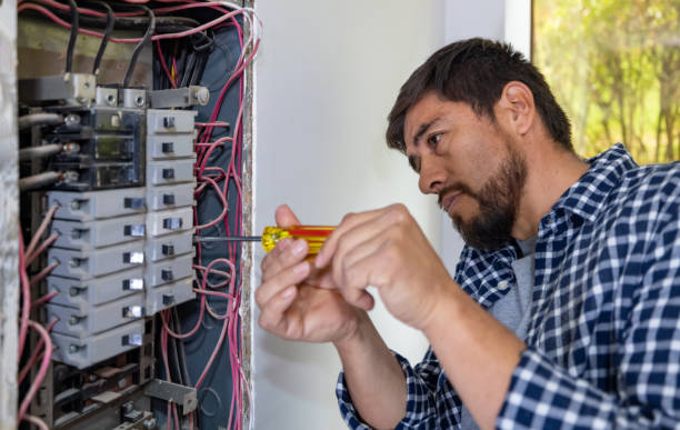 Best Home Electrical Repair  in Wliamsvle, IL